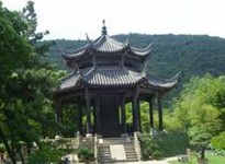 去银川享受阳光滋味