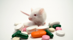 FDA 宣布将淘汰动物实验，这真的靠谱吗？